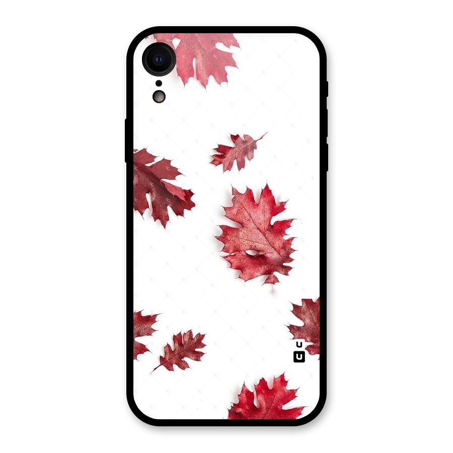 Red Appealing Autumn Leaves Glass Back Case for iPhone XR