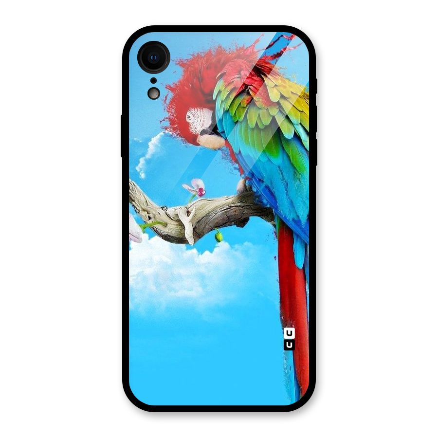 Sky Parrot Glass Back Case for iPhone XR