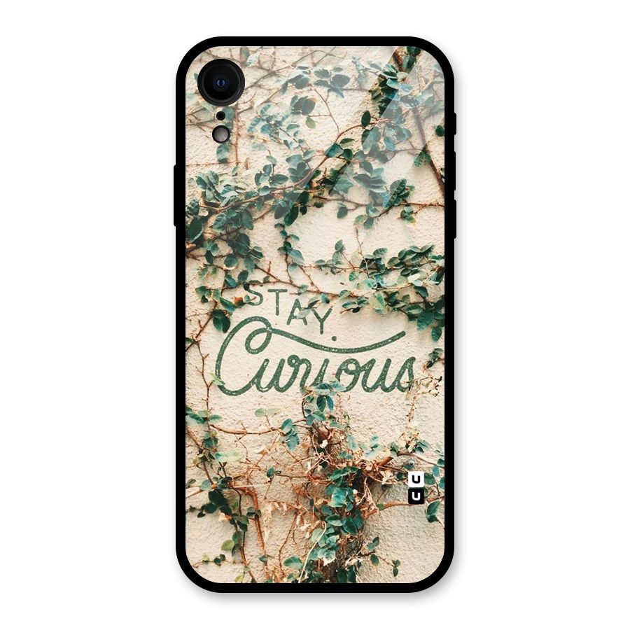 Stay Curious Glass Back Case for iPhone XR