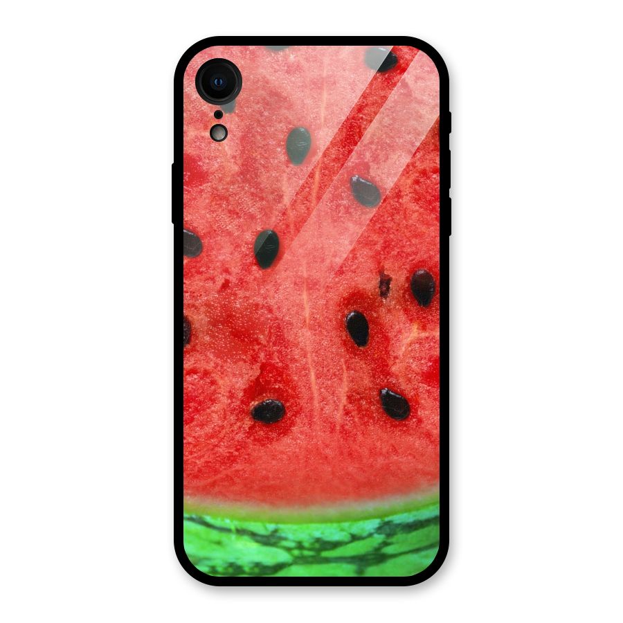 Watermelon Design Glass Back Case for iPhone XR